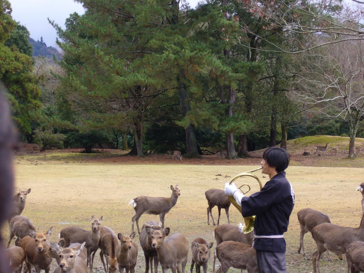 Kotonoyado Musashino Nara Zewnętrze zdjęcie